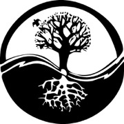 bigstock_Yin_Yang_Tree_1240661