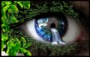 eye_by_tanjaalena-d5eqskf