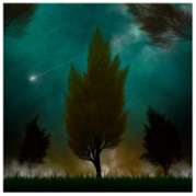 yes_it__s_a_fractal_by_netgenetics-d5eqh0q.png